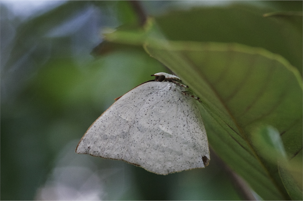 d0209988_2053415.jpg