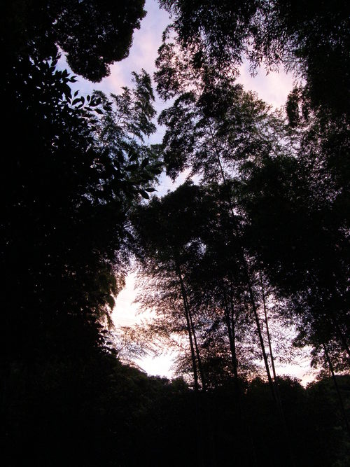 e0017396_22485872.jpg