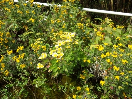 a0125598_19334651.jpg