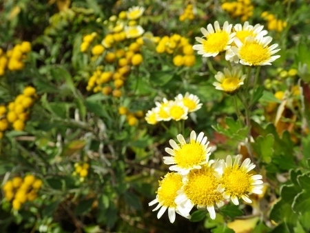 a0125598_19511727.jpg