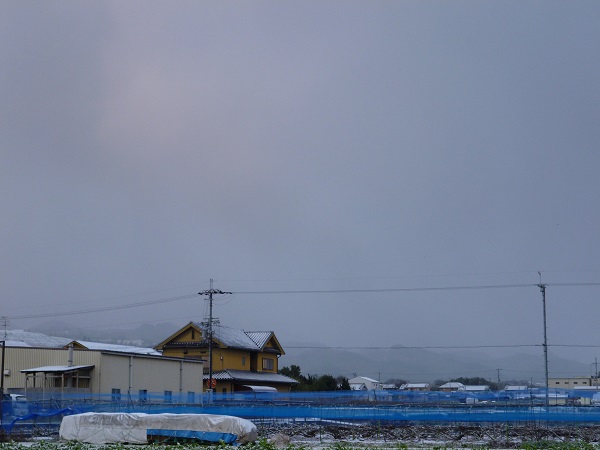 f0228619_21134686.jpg