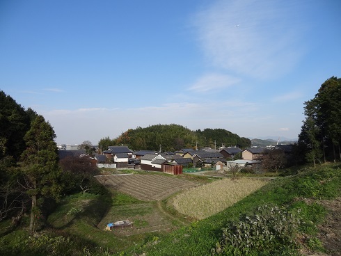 f0000521_11215966.jpg
