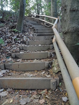 f0000521_11233995.jpg