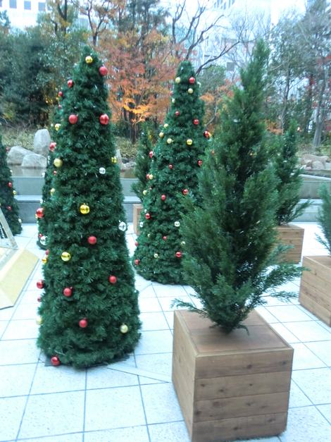 c0236632_8273090.jpg