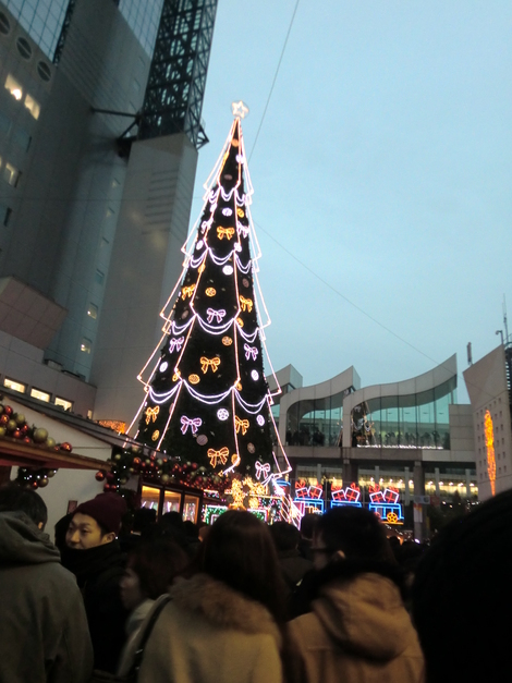 c0236632_83611.jpg
