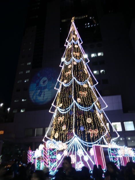 c0236632_8394611.jpg