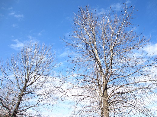 f0002833_19323882.jpg