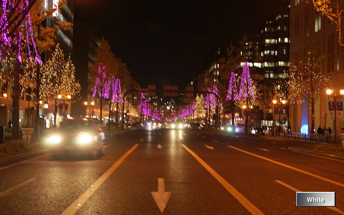 c0227134_2503733.jpg
