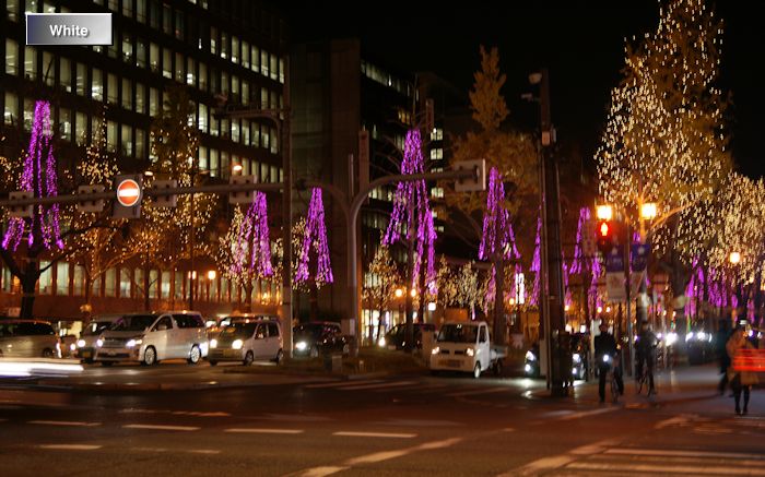 c0227134_25050100.jpg