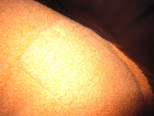 e0198839_18575794.jpg