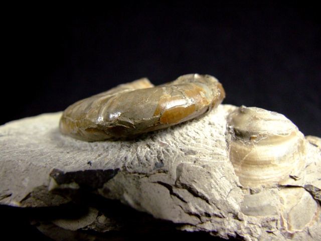 e0290546_16210444.jpg