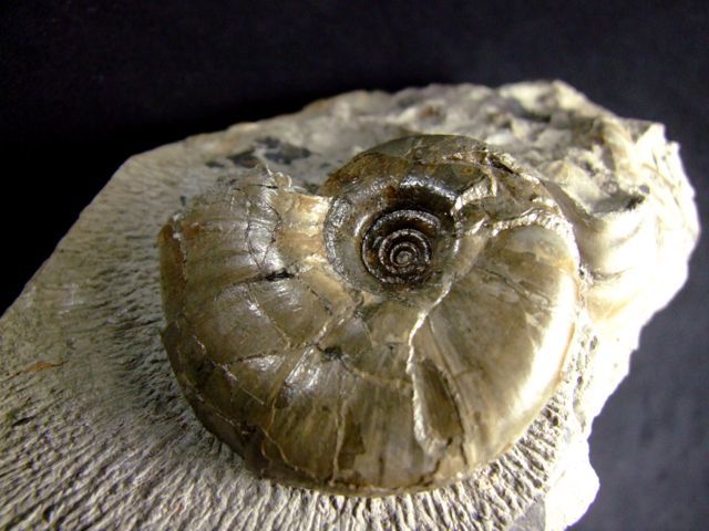 e0290546_16210709.jpg