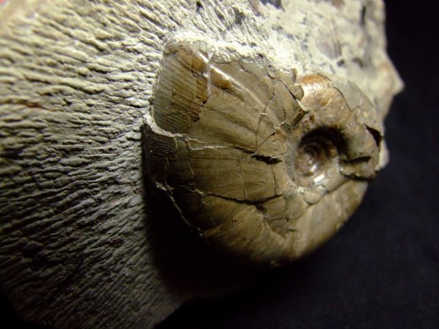 e0290546_16211623.jpg