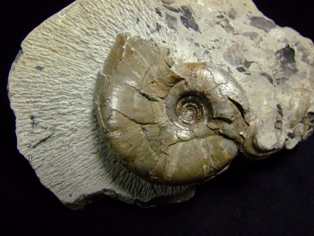 e0290546_16211806.jpg