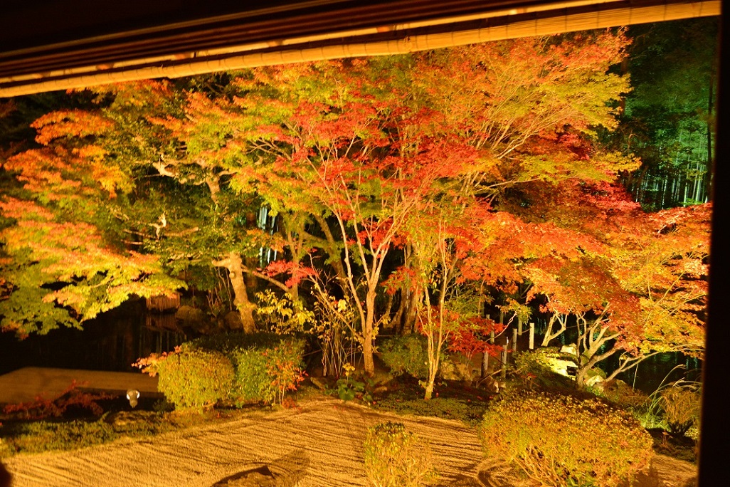 a0055650_8571393.jpg