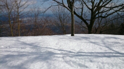 b0148050_18491534.jpg
