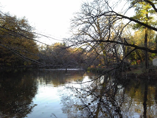 f0055956_8372855.jpg
