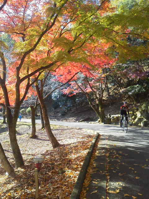 c0214359_2339957.jpg