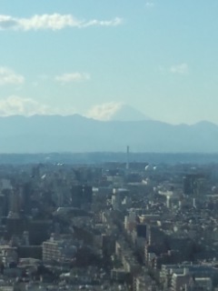 f0112873_2301223.jpg