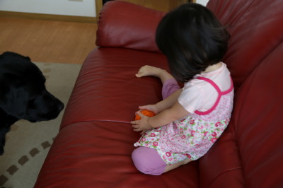 f0037378_2228470.jpg