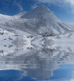 f0357487_22483358.gif