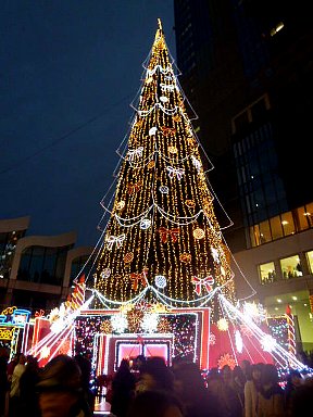 b0075888_17561053.jpg