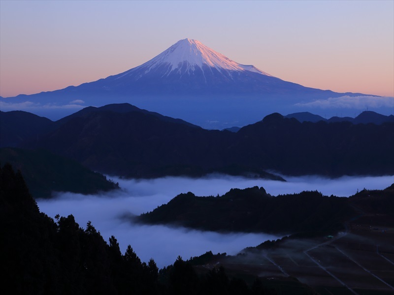 a0188405_20540177.jpg