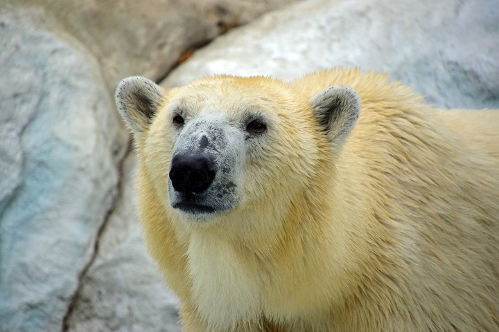a0151913_2235642.jpg