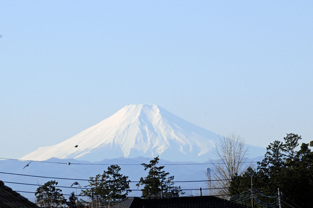 f0206417_17475564.jpg