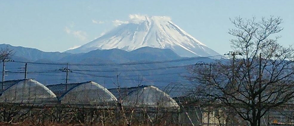 b0199924_1841650.jpg
