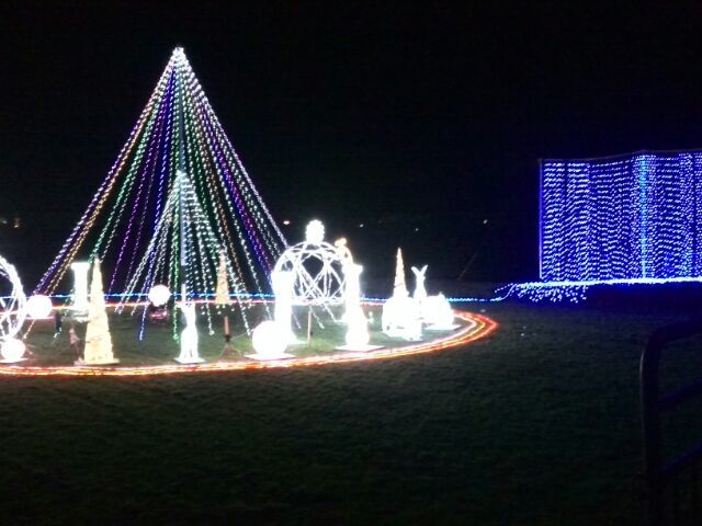 f0111128_11563189.jpg