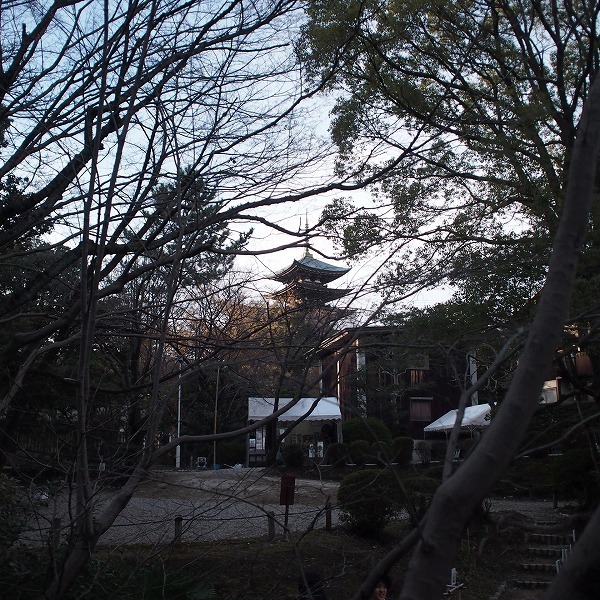 a0148431_19321821.jpg