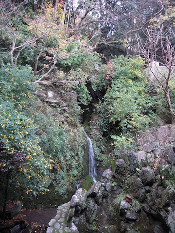 b0025633_21411263.jpg