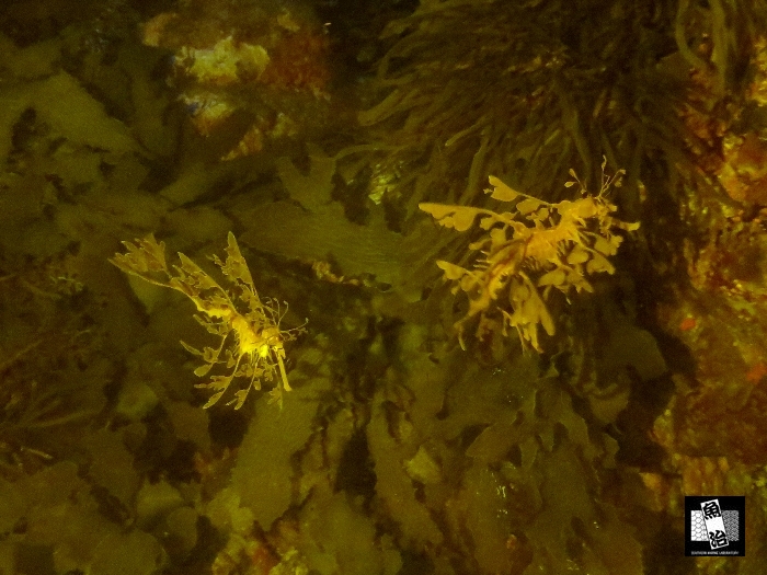 a0150039_14451837.jpg