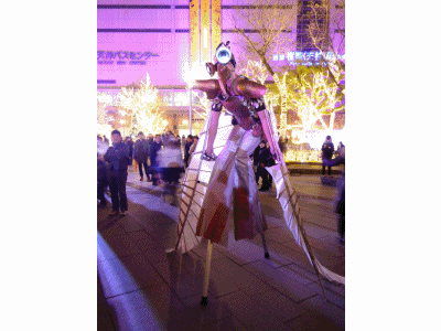 b0018441_1122047.gif