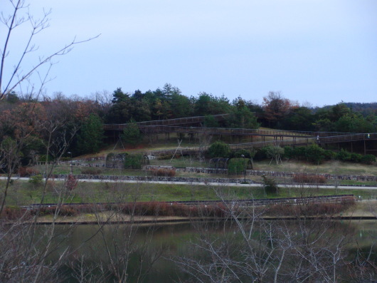 b0254548_21283469.jpg