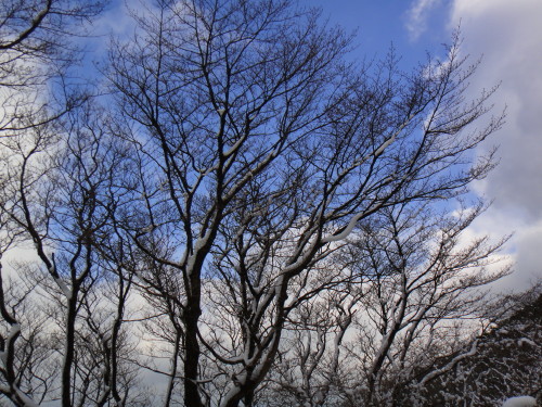 c0179351_19492931.jpg
