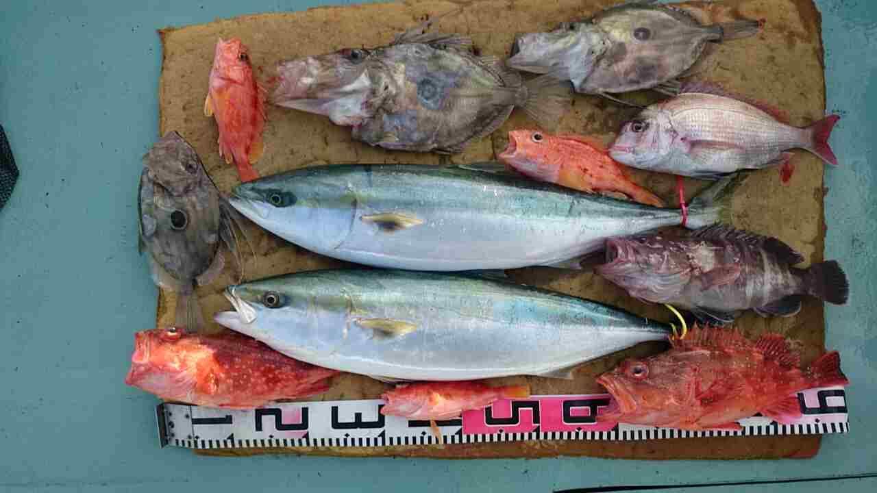 a0248152_17502924.jpg