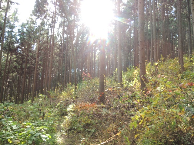 b0173754_01185767.jpg
