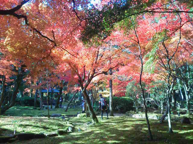 c0214359_0131862.jpg