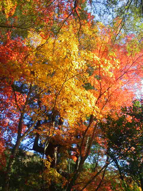 c0214359_073056.jpg