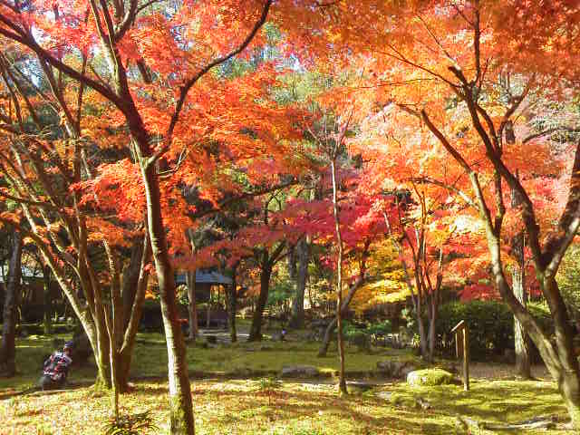 c0214359_08512.jpg