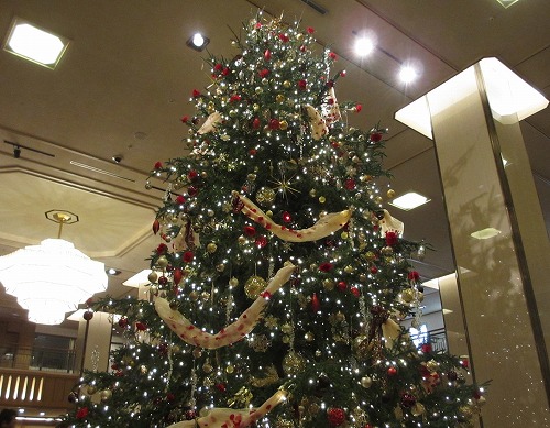 b0145863_205787.jpg
