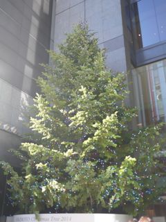c0008664_22361289.jpg
