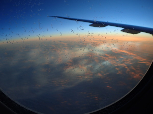 c0122670_18184582.jpg