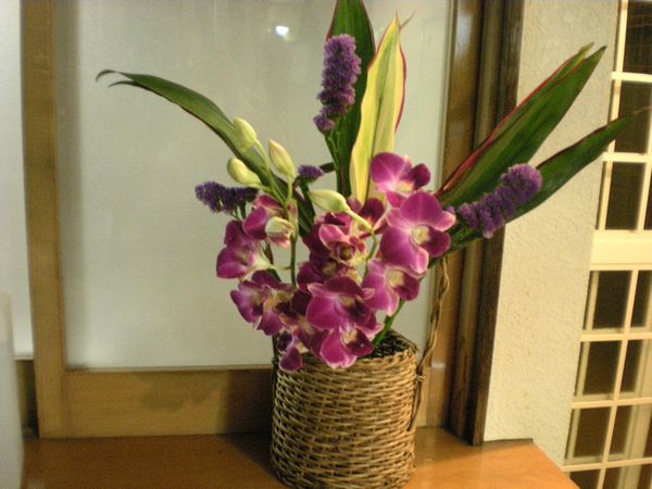 e0014678_2005010.jpg