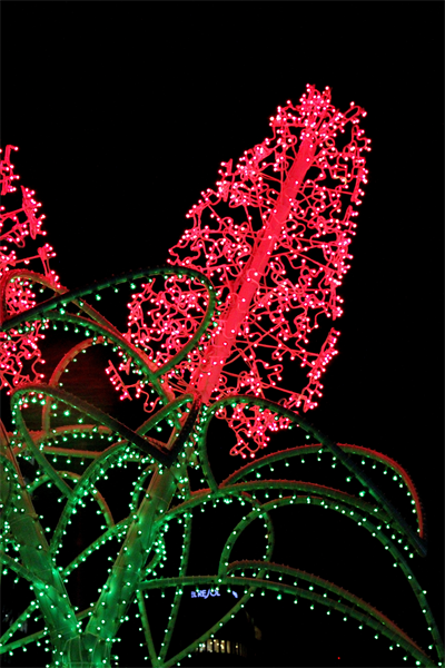 e0326479_10415793.png
