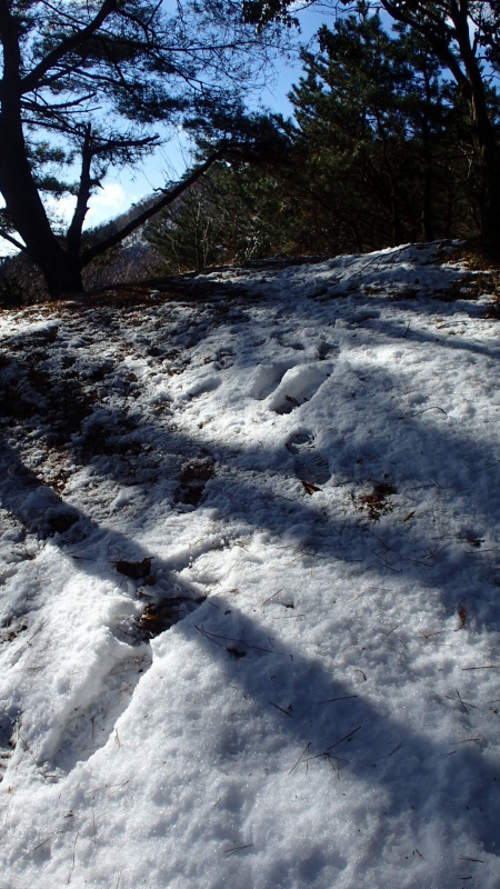 e0024081_12194594.jpg