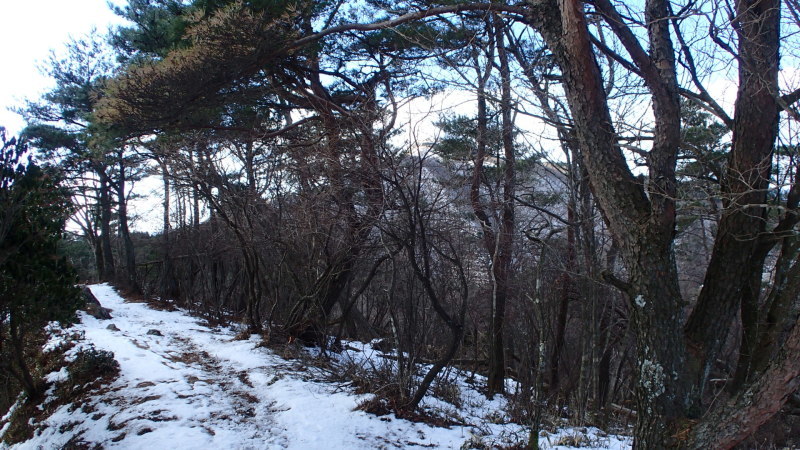 e0024081_12212559.jpg