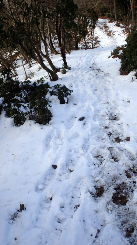 e0024081_12234824.jpg